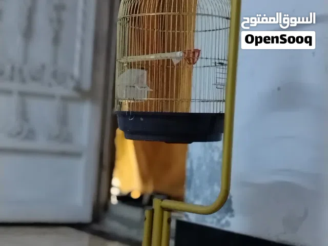قفص زينه حديد و قوي