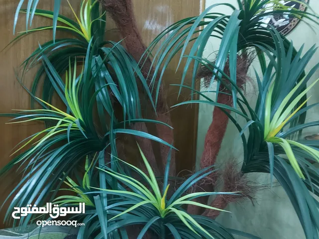 نباتات اصطناعية