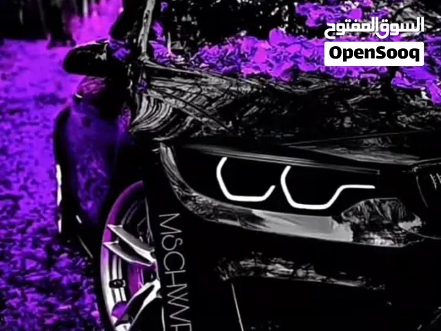 مطلوب انثى روز