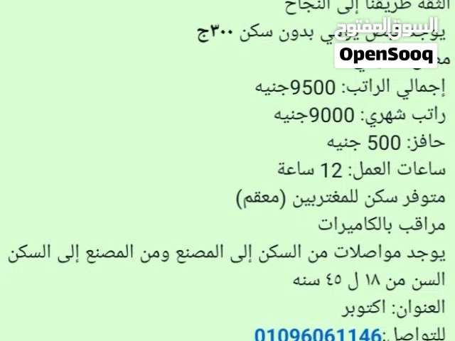شغل وو ظاءف