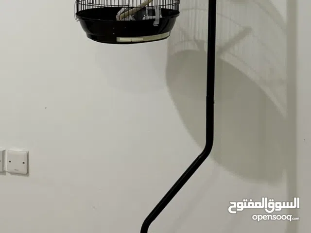 قفص طيور للبيع