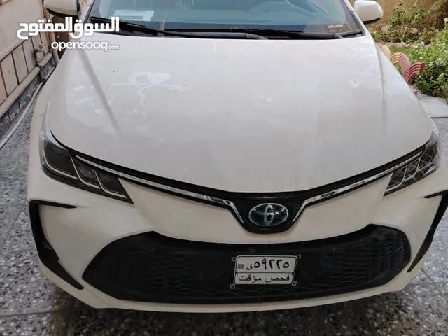 New Toyota Corolla in Baghdad