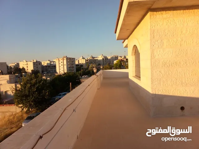 روف مع ترس بإطلالــــه بانوراما