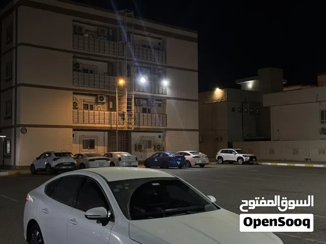 2025 بي واي دي ديستروير