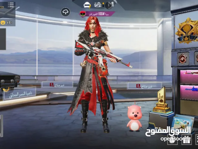 Pubg Accounts and Characters for Sale in Sabha