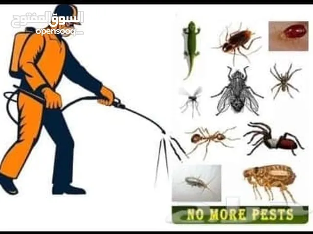 شركة تنظيف بالرياض