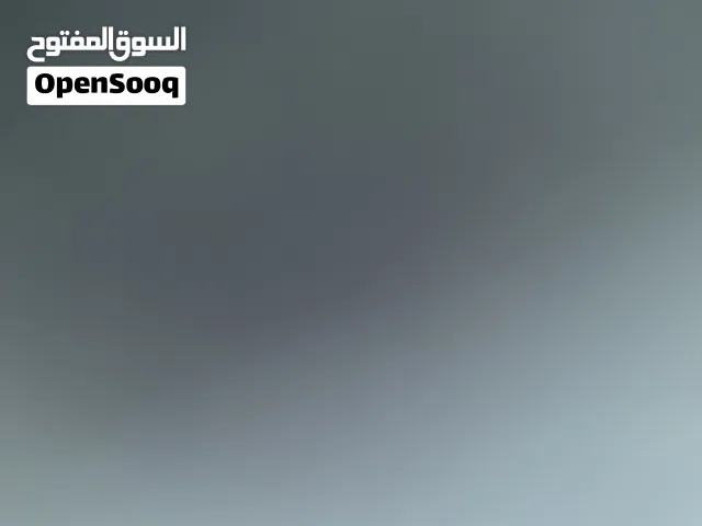 مطلوب طبه او زوج شيرازي