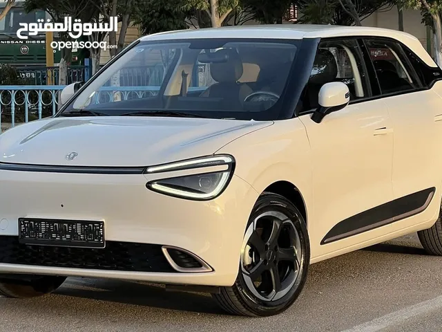 Used Dongfeng Nammi Box in Irbid