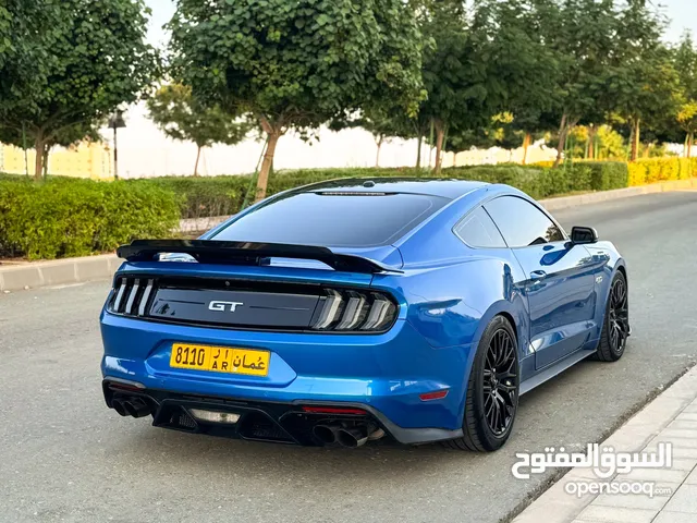 Mustang Performance Package 10 Speed 1/1