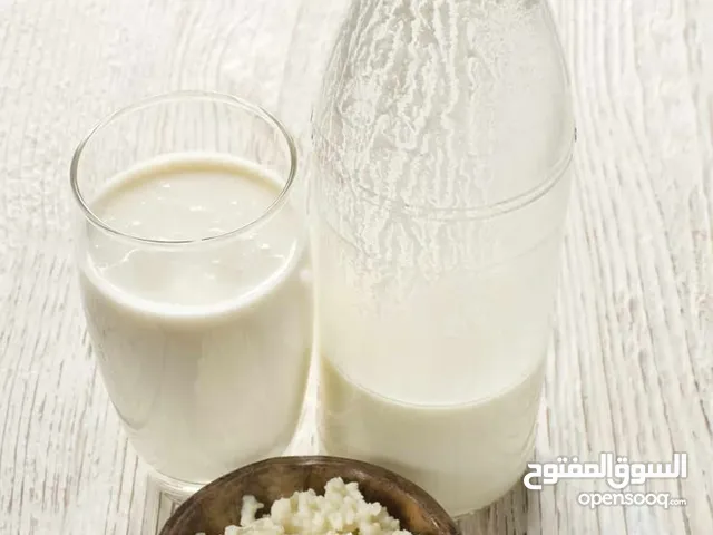 حبوب الكيفر الكفير Kefir