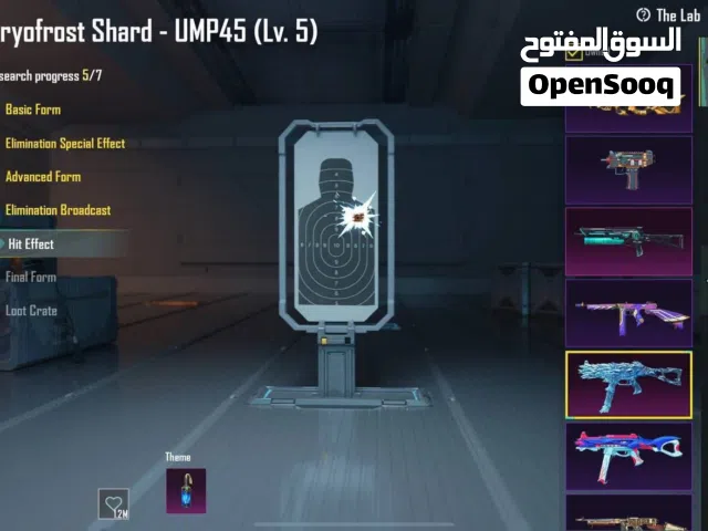 Pubg Accounts and Characters for Sale in Abyar