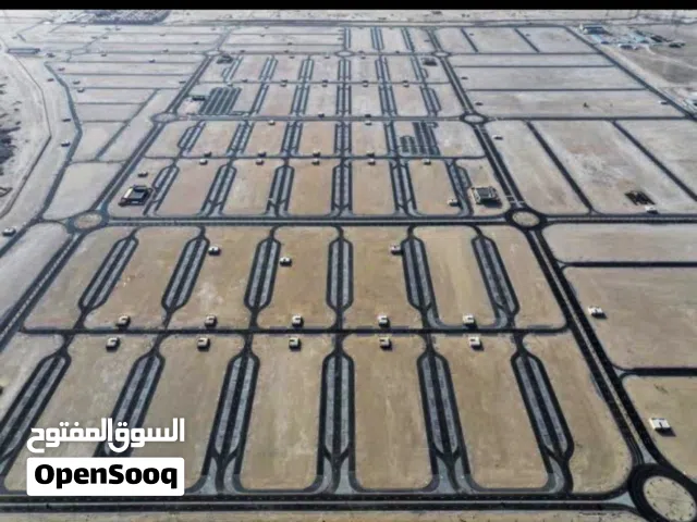 تبي مشروع مضمون