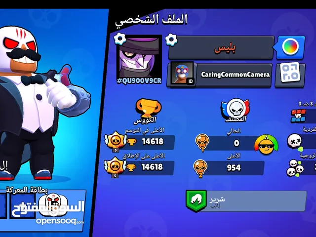 Accounts - Others Accounts and Characters for Sale in Northern Governorate
