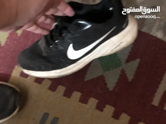 احذية مستعمله للبيع فى مصر : احذية تمبرلاند مستعمله : كوتشي ستارز اصلي