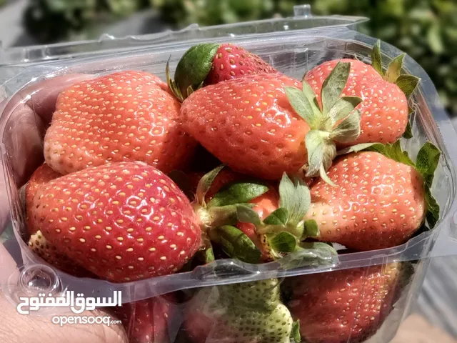 علب بلاستيك راقية جدا جميلة