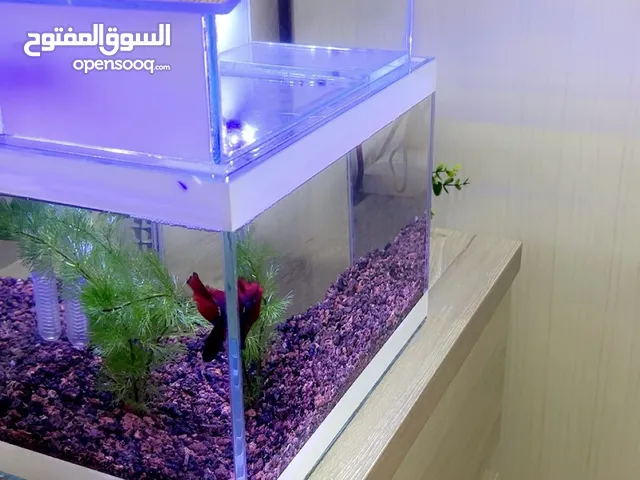 حوض كريستال اجنبي