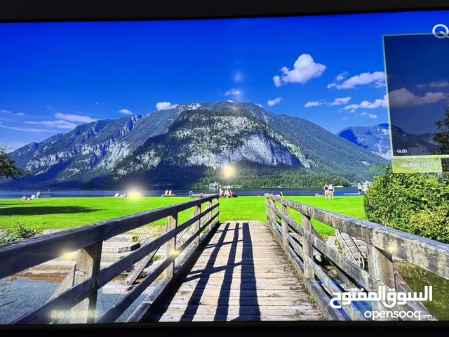 Samsung 55 QLED 2024 model