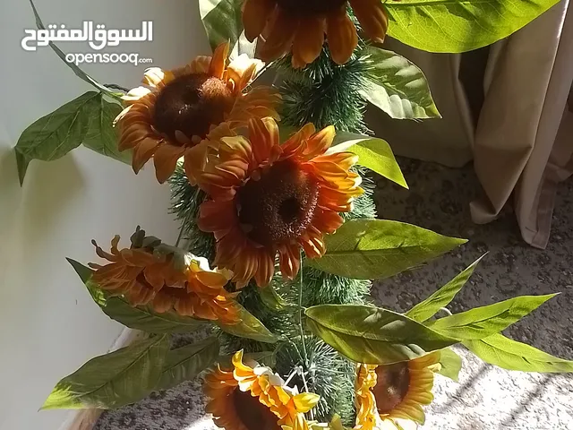 شجرة زينة دوار الشمس