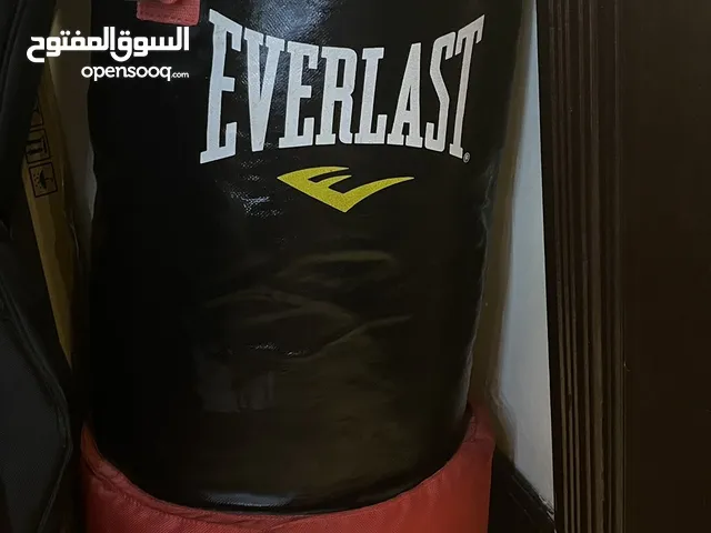 Everlast boxing bag