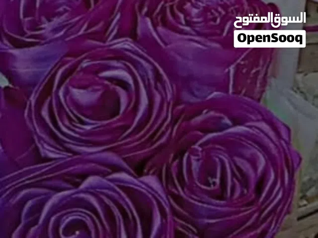 بقات ورد ستان ربي يبارك ورده الوحده سعر على حسب الغلاف و العدد