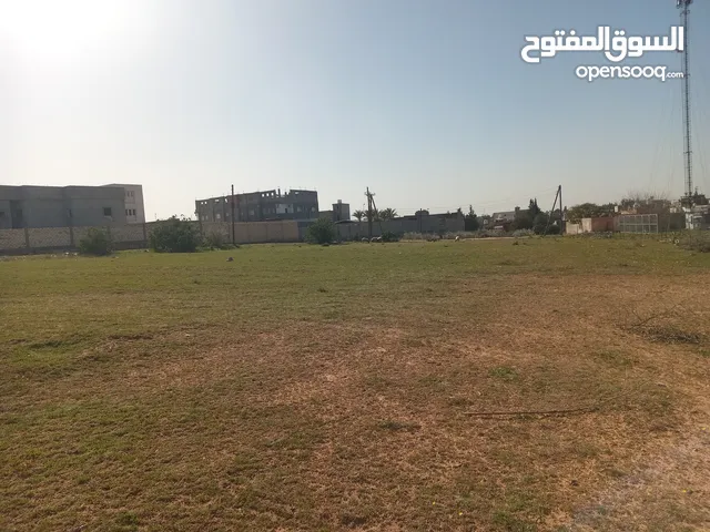 Commercial Land for Rent in Tripoli Ain Zara