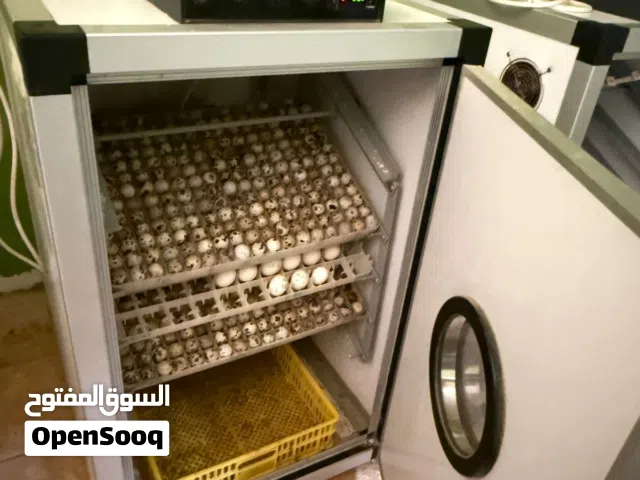 فقاسة للبيع لدجاج و السمان و البط و حتى النعام و جميع انواع البيض تابع الوصف