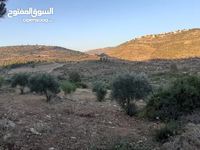 Mixed Use Land for Sale in Ramallah and Al-Bireh Kafr Ein
