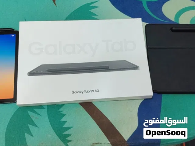 Samsung Galaxy Tab S9 256 GB in Muscat