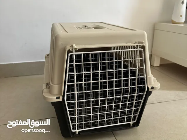 Cat and Dog Transport Cage s