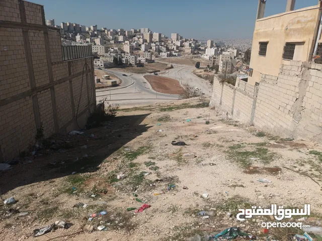Residential Land for Sale in Amman Al-Marqab
