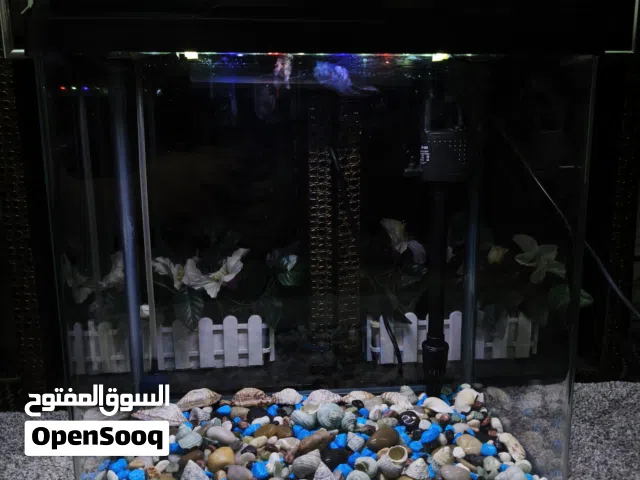 Aquarium  400