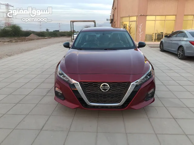 نبسان التيما 2019