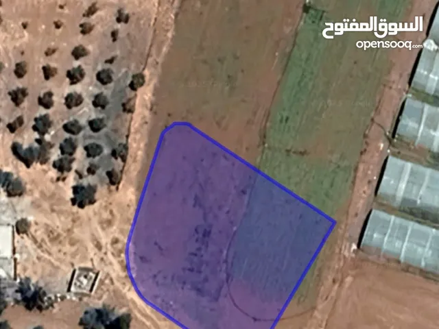 Residential Land for Sale in Amman Salem