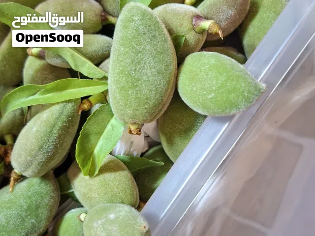 لوز اخضر طازه تلقيط اليوم طري وحامض الكيلو 2.5