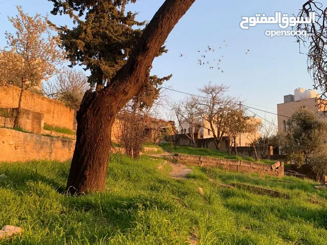 ارض للبيع في السلط تصلح لبناء اسكانات