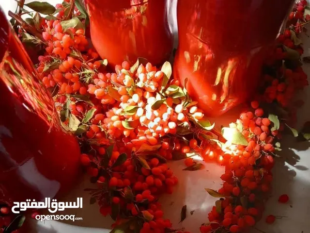برباريس إيراني من الدرجة الأولى