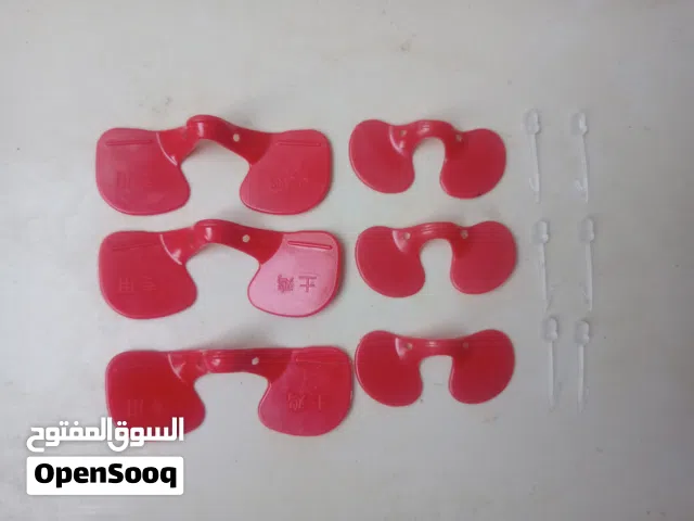 نظارات للدجاج 6 قطع