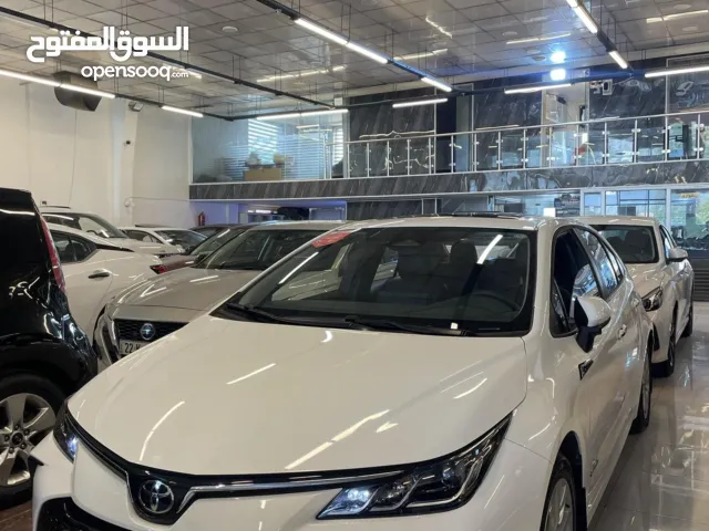 Toyota Corolla Hybrid 2025 تيوتا كورولا