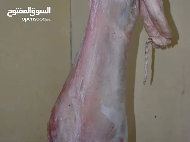 لحام متنقل لذبح اضاحي العيد خرفان و عجول جزار متنقل واصل لباب بيتك