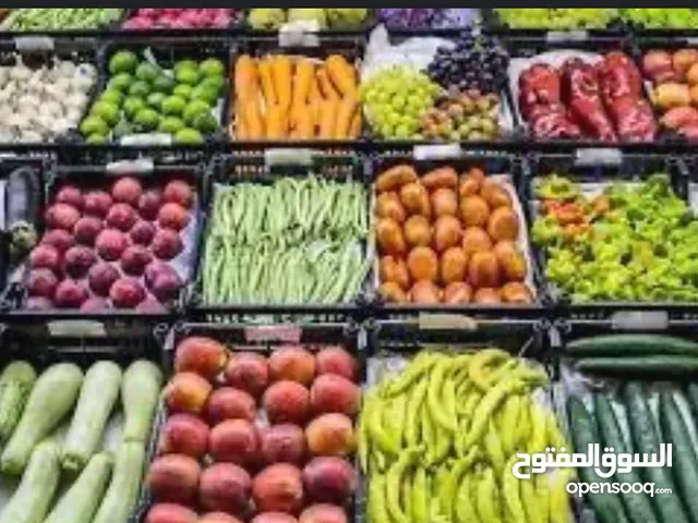 تصدير الخضار والفواكه من مصر إلى السعوديه ودول الخليج