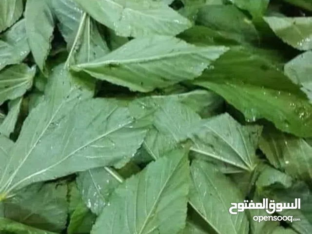 لتواصي ملوخيه ملقطه مغسوله ومفرومه على اليد ولف دوالي باسعار مناسبه
