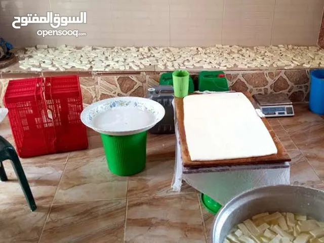مطلوب شريك ممول لمعمل اجبان يعمل بشكل جيد
