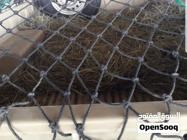 شبكة سيارات متعدده المقاسات