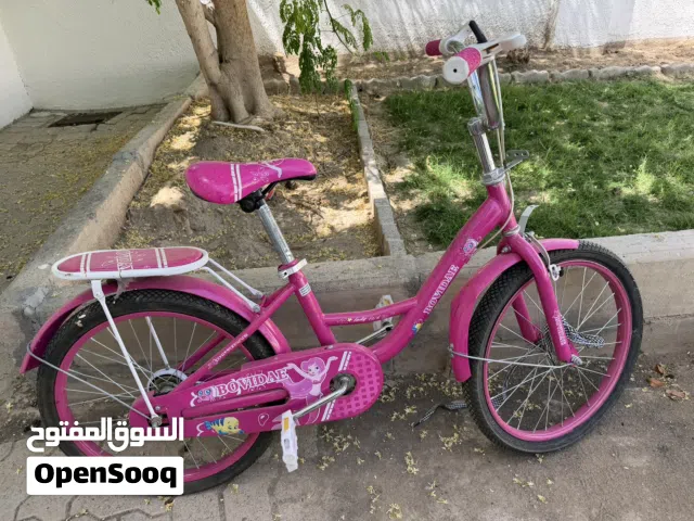 Vintage Charm, Timeless Joy – Classic blue and Pink Bicycle for Your Little Ones