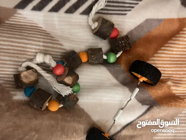 العاب ببغاء