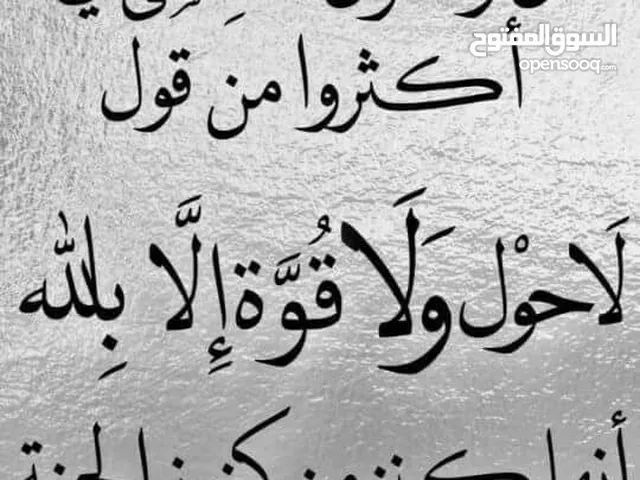 مطلوب صخال ( لحم ) عدد 2 عمر بين السنه والسنه ونص من غير عشار ببقطعو الوحده صافي فوق ال 22 كم