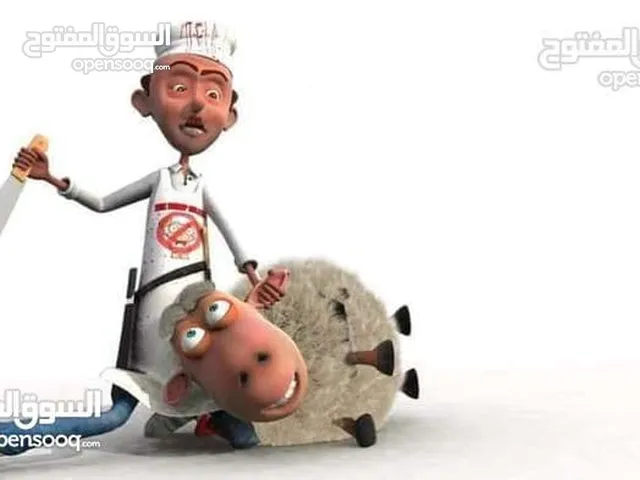 لحام جزار دبح في المنازل