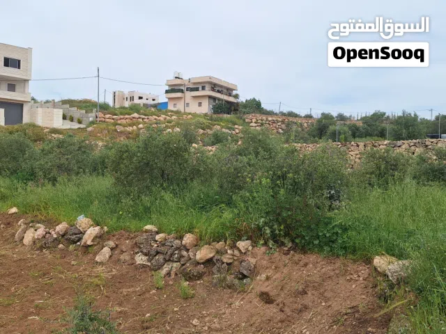Mixed Use Land for Sale in Hebron Nuba