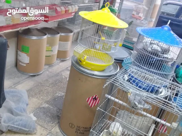 بضاعه محل طيور ومستلزماتهم