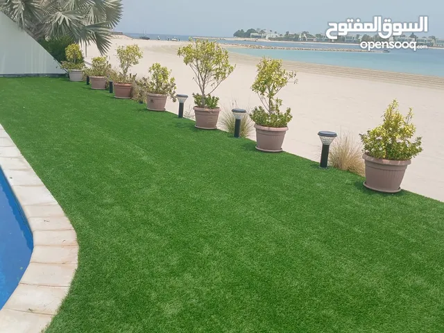 Garden Mantince New Garden Flower and Trees Grass